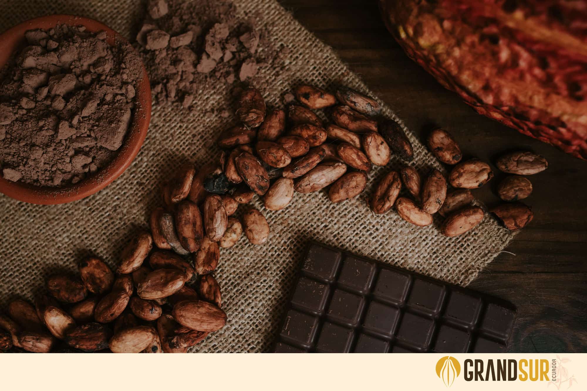 GrandSur celebra el dia mundial del cacao